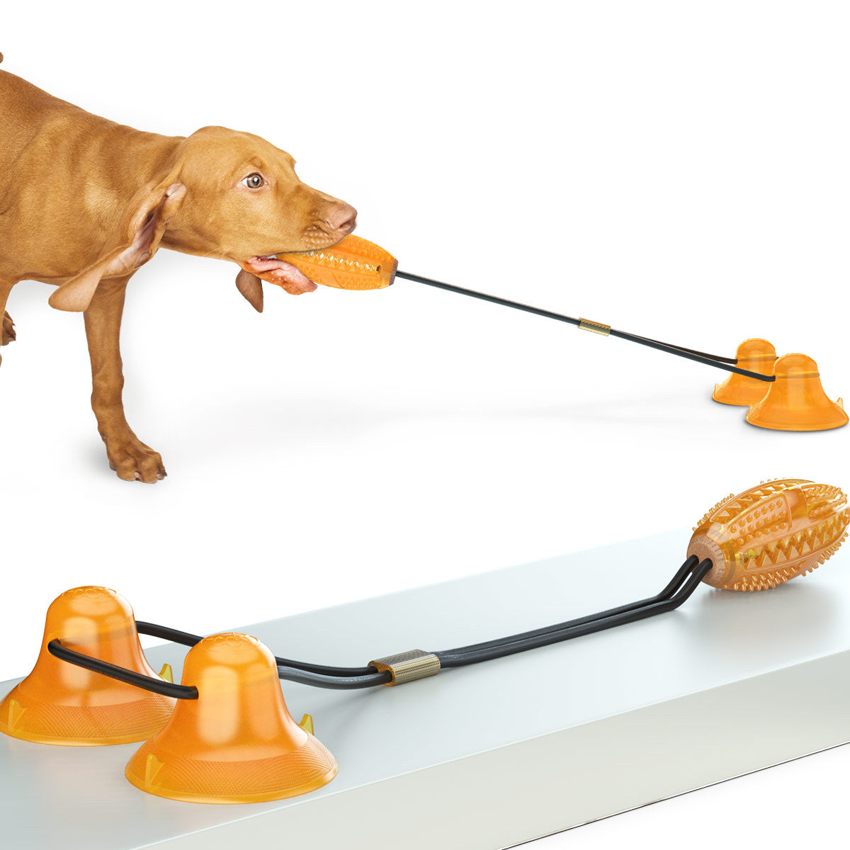 Dog Tug Rope Toy - Pawlunexa
