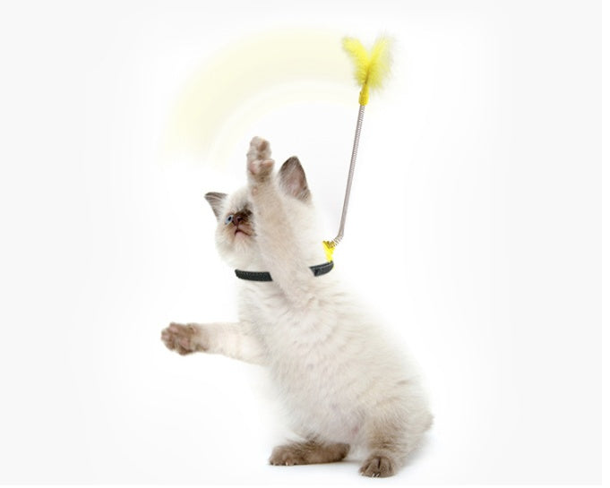 Self Healing Cat Toy - Pawlunexa