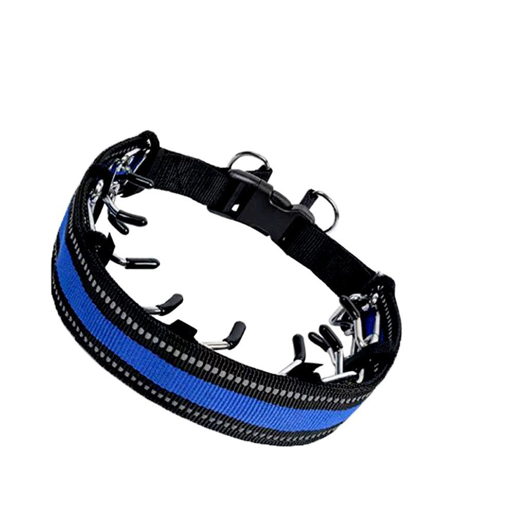 Dog Training Spike Collar - Pawlunexa