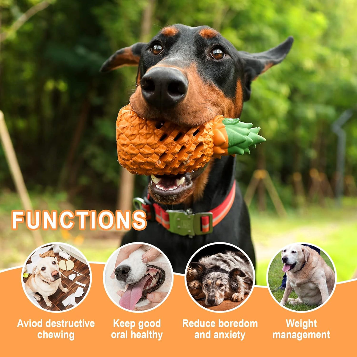 Durable Dog Chewers Toys - Pawlunexa