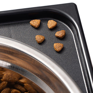 Pet Feeding Bowl with Neck Protection - Pawlunexa