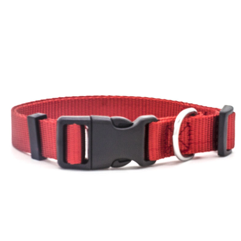 comfortable nylon pet collar - Pawlunexa