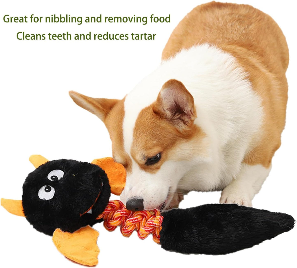 Plush Squeaky Dog Toys - Pawlunexa