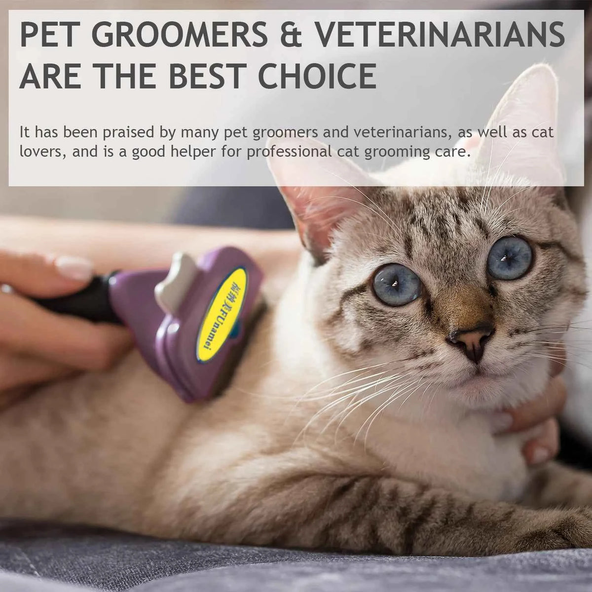 Essential Dog Grooming Brush for Hassle-Free Pet Care - Pawlunexa