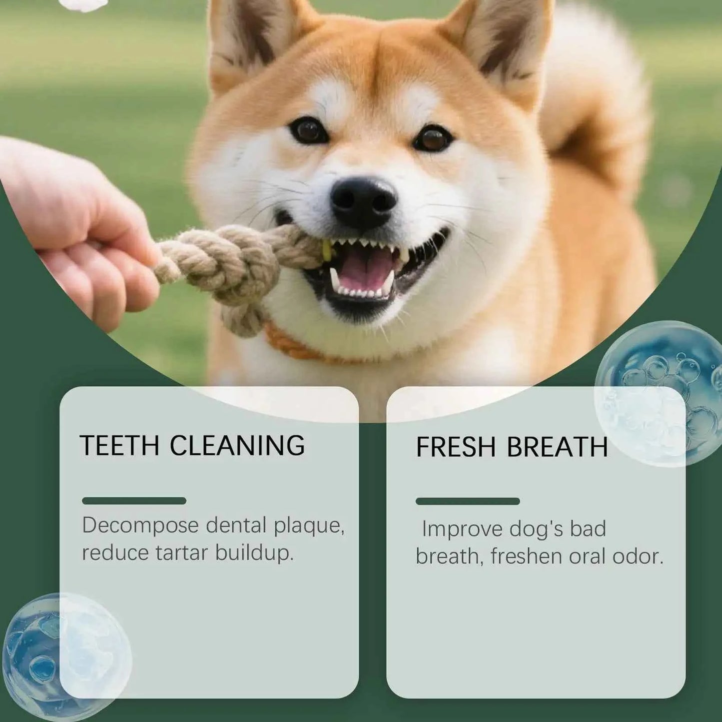 Revolutionize Your Dog's Dental Health with Our Premium Dog Dental Care Powder