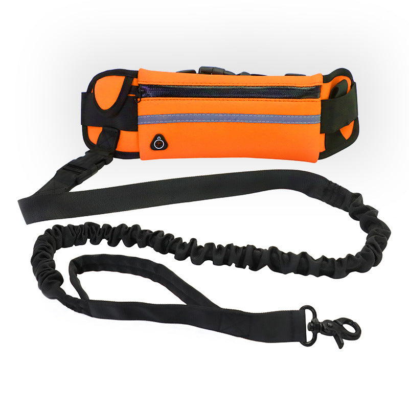 hands free dog leash - Pawlunexa