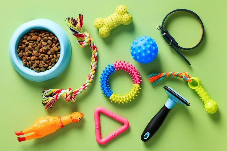 Accessories - Pawlunexa