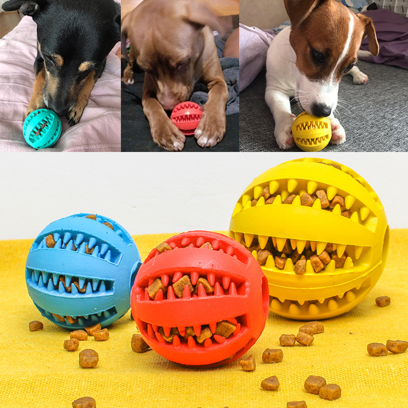 Fun Pet Slow Feeder Dog Toy - Pawlunexa