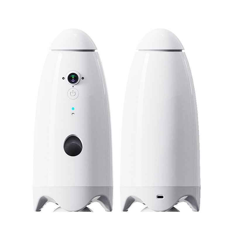 Smart Dog and Cat Feeder