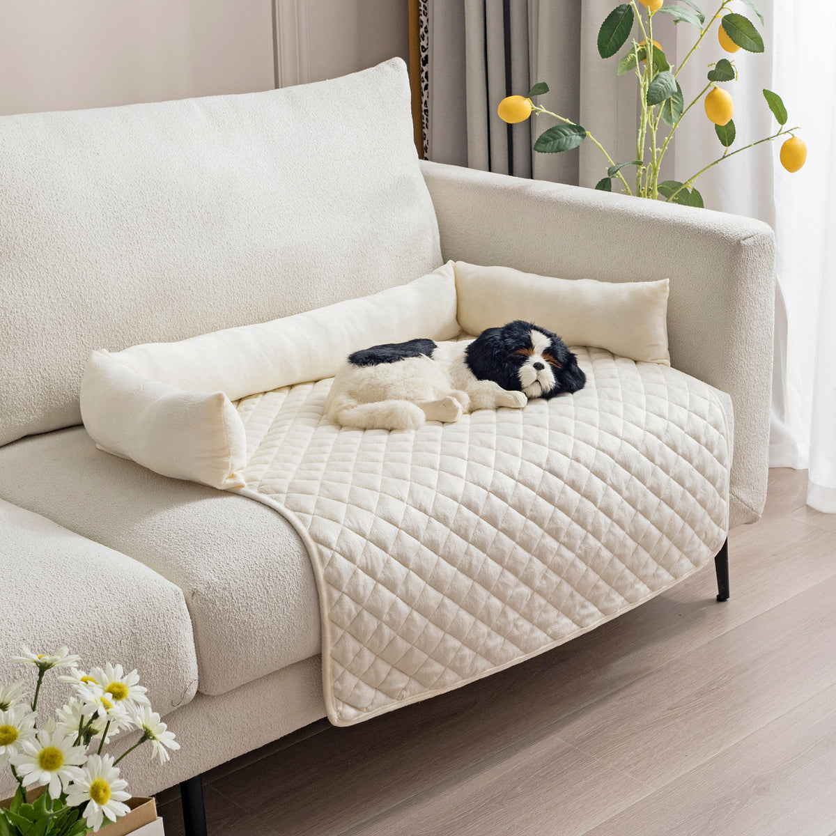 Large Dog Sofa Bed - Pawlunexa