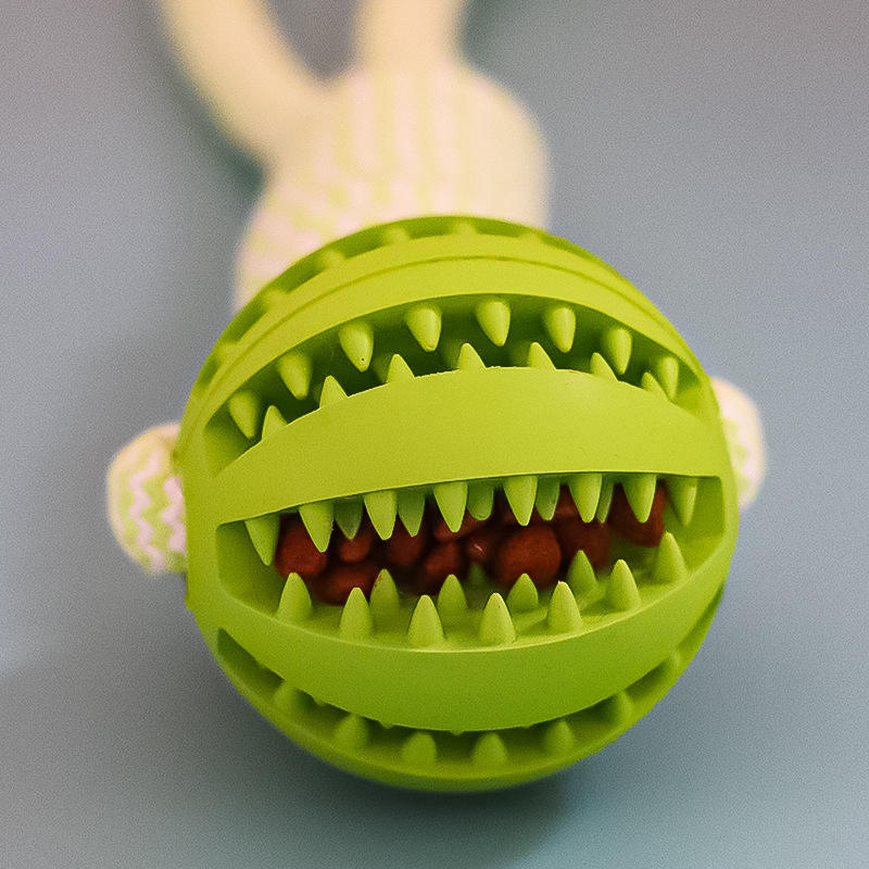Interactive Dog Chewing Toy - Pawlunexa