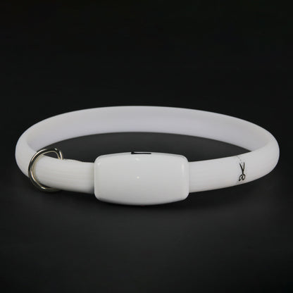 Rechargeable LED Pet Safety Collar
