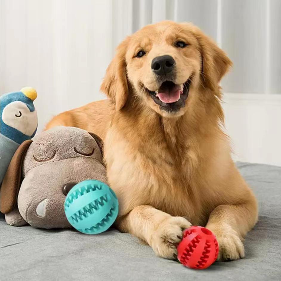Interactive Dog Chewing Toy - Pawlunexa