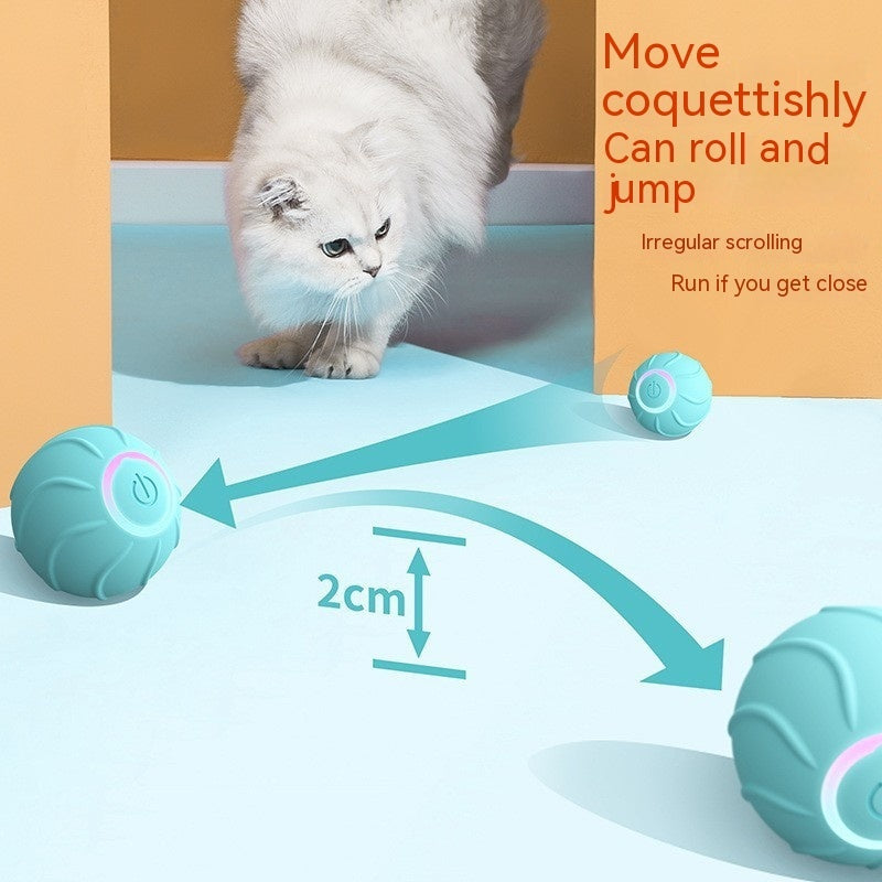 Smart Interactive Cat Toy - Pawlunexa