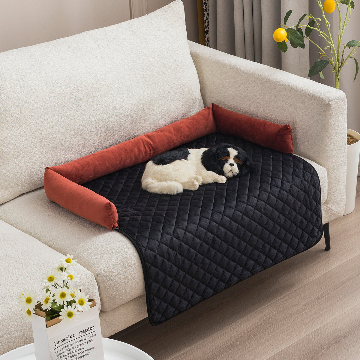 Large Dog Sofa Bed - Pawlunexa