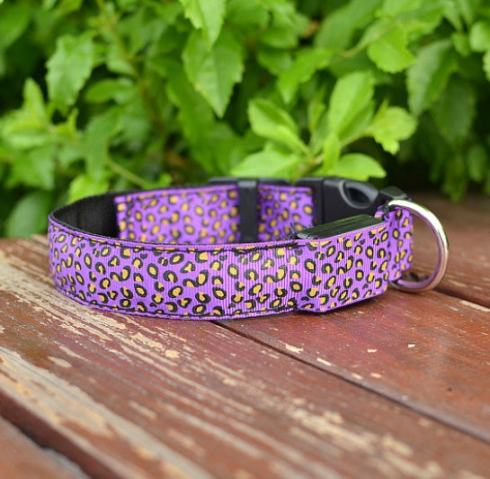 LED dog collar safety - Pawlunexa