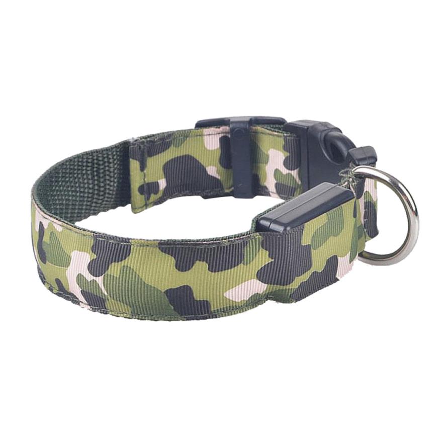 luminous dog collar - Pawlunexa