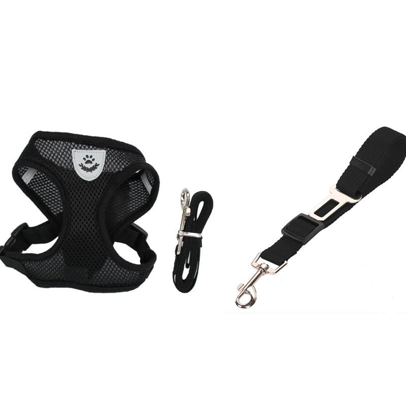 Pet Car Seat Belt Leash - Pawlunexa