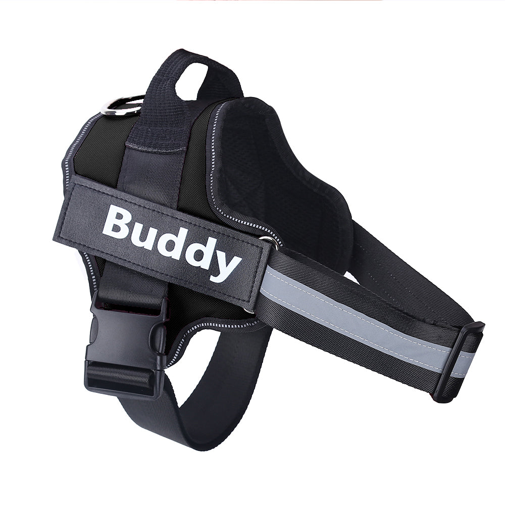 Personalized No Pull Dog Harness - Pawlunexa