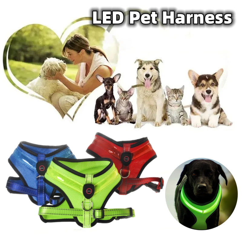 LED Dog Harness USB Rechargeable - Pawlunexa