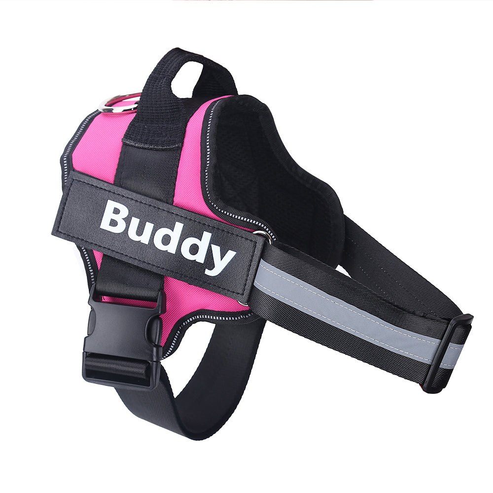 Personalized No Pull Dog Harness - Pawlunexa