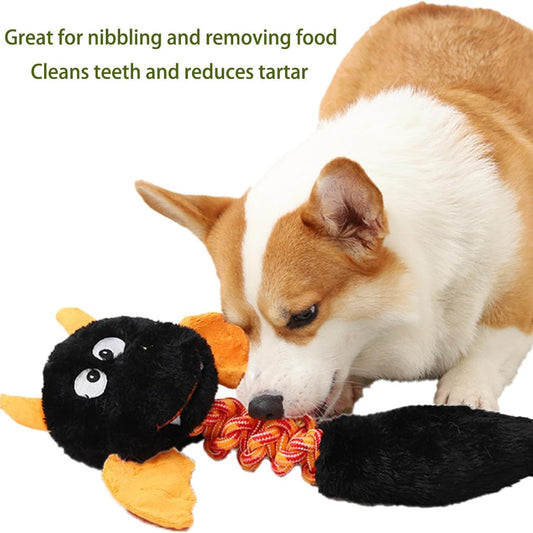 Plush Squeaky Dog Toys - Pawlunexa