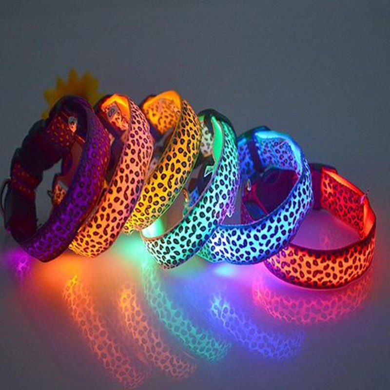 LED dog collar safety - Pawlunexa