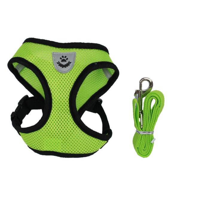 Pet Car Seat Belt Leash - Pawlunexa