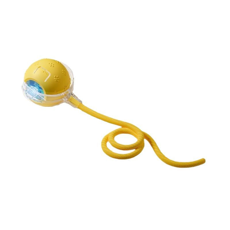 Automatic Electric Dog Toy Ball