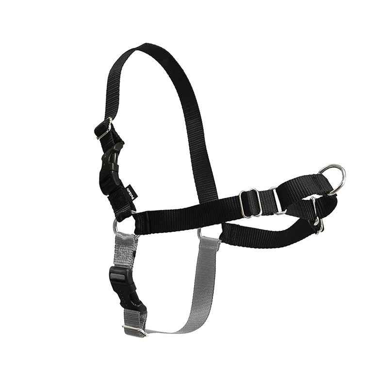 comfortable dog walking collar