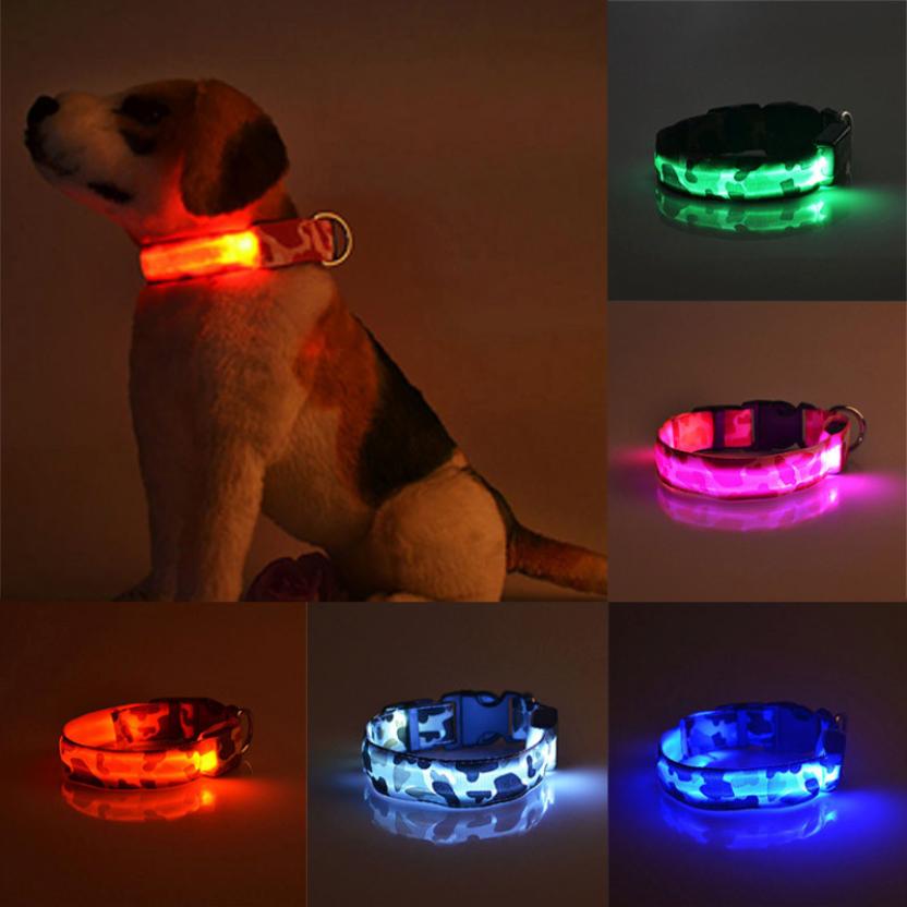 luminous dog collar - Pawlunexa