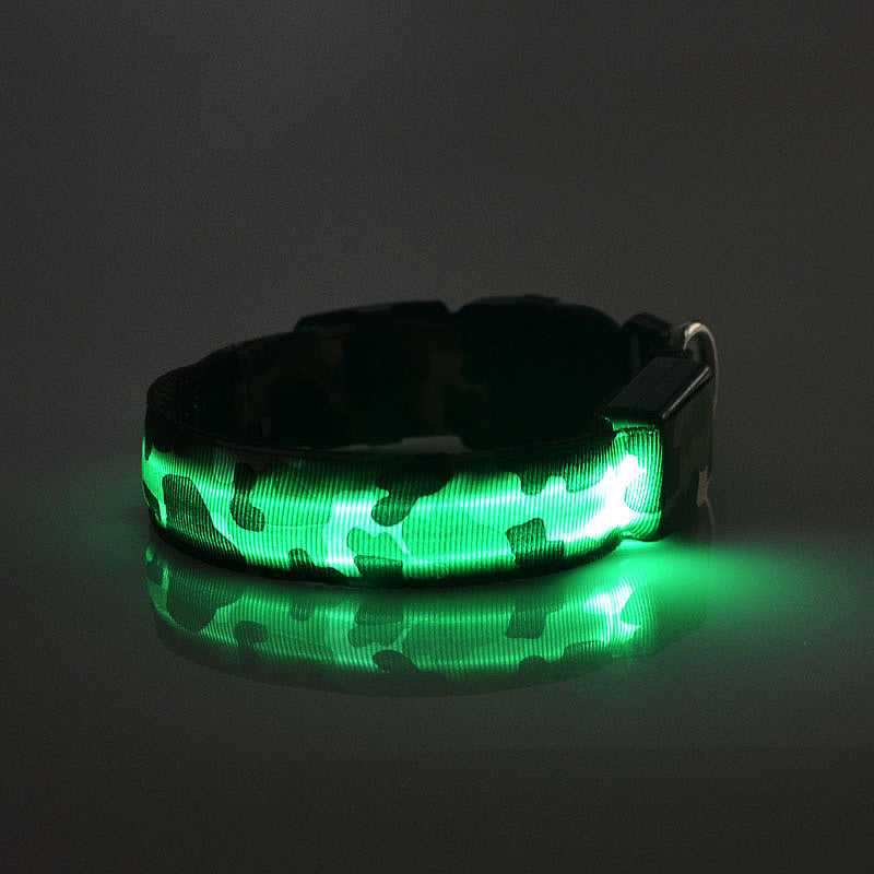 luminous dog collar - Pawlunexa
