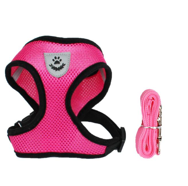 Pet Car Seat Belt Leash - Pawlunexa