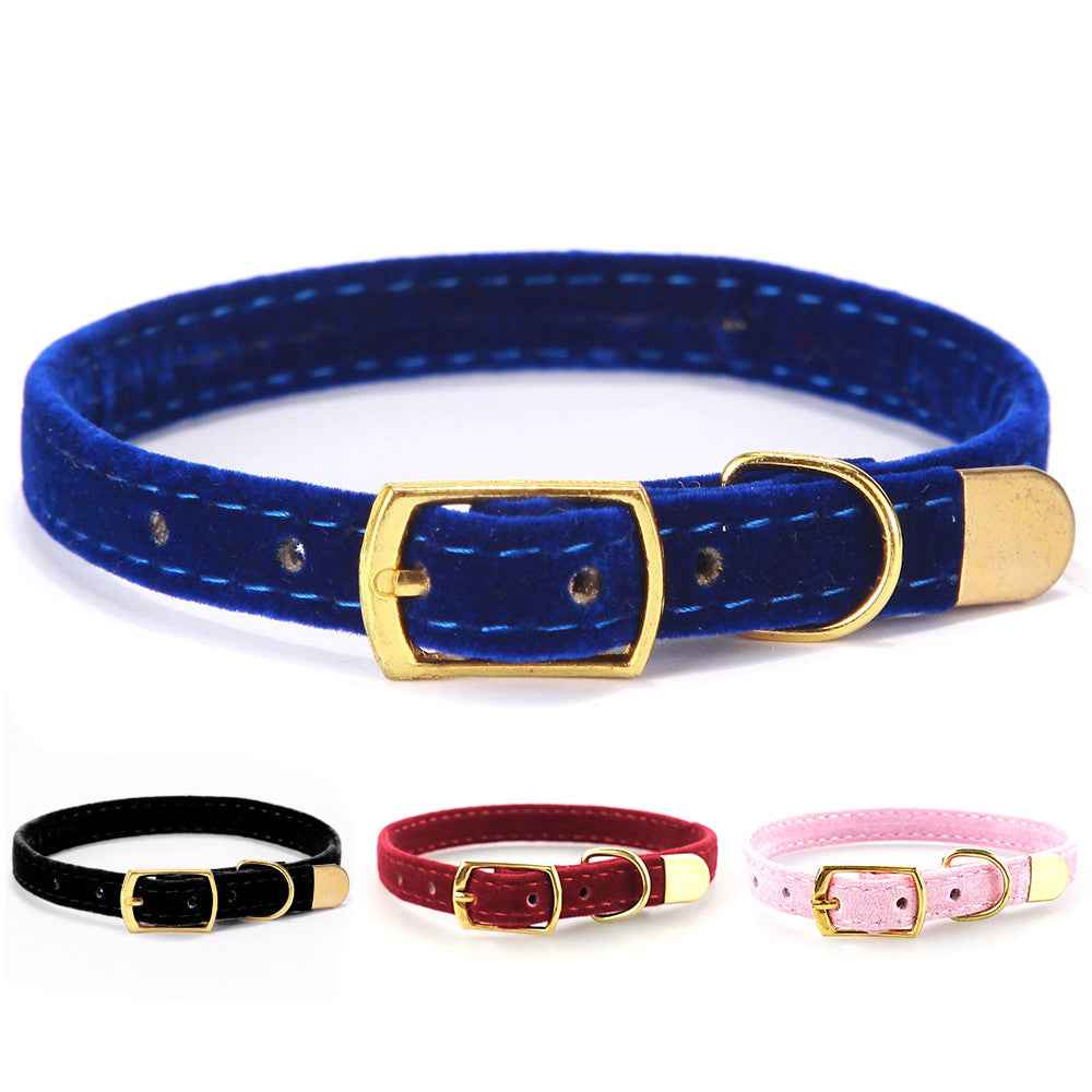 Stylish cat collar