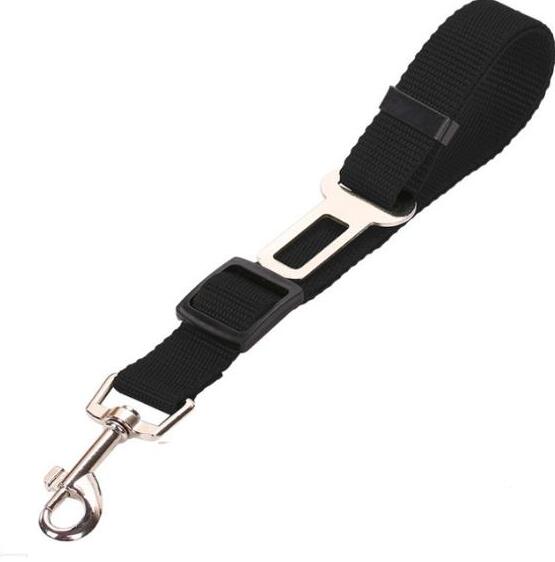 Pet Car Seat Belt Leash - Pawlunexa