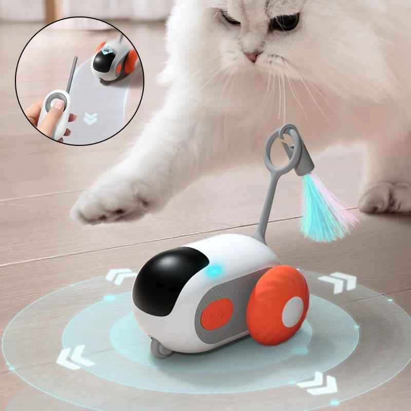Interactive Cat Toy with Remote Control