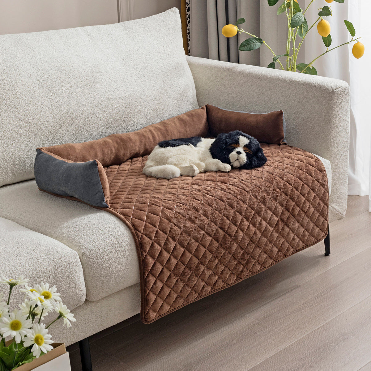 Large Dog Sofa Bed - Pawlunexa