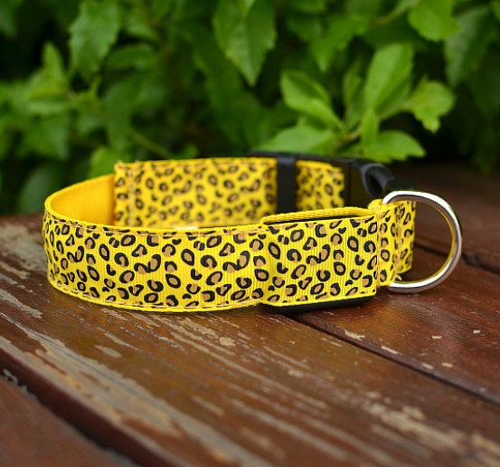 LED dog collar safety - Pawlunexa