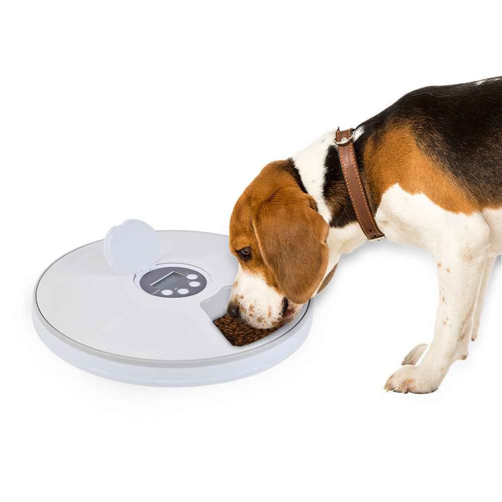 Automatic Pet Feeder