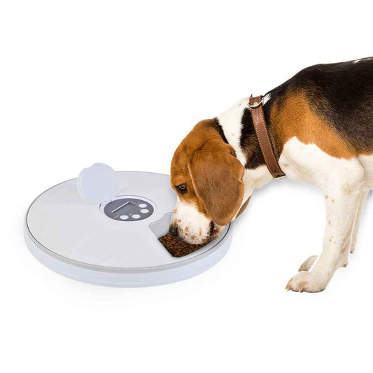 Automatic Pet Feeder