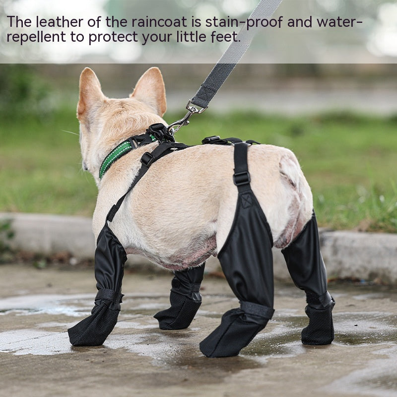 Waterproof Dog Shoes - Pawlunexa