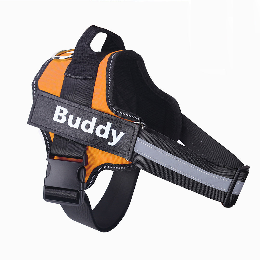 Personalized No Pull Dog Harness - Pawlunexa