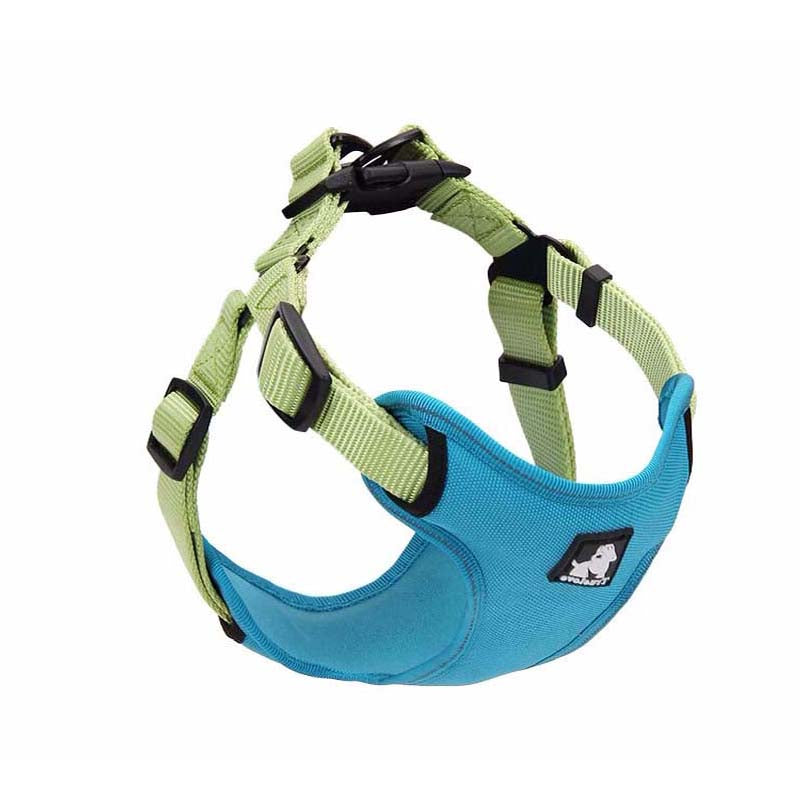comfortable dog leash collar - Pawlunexa