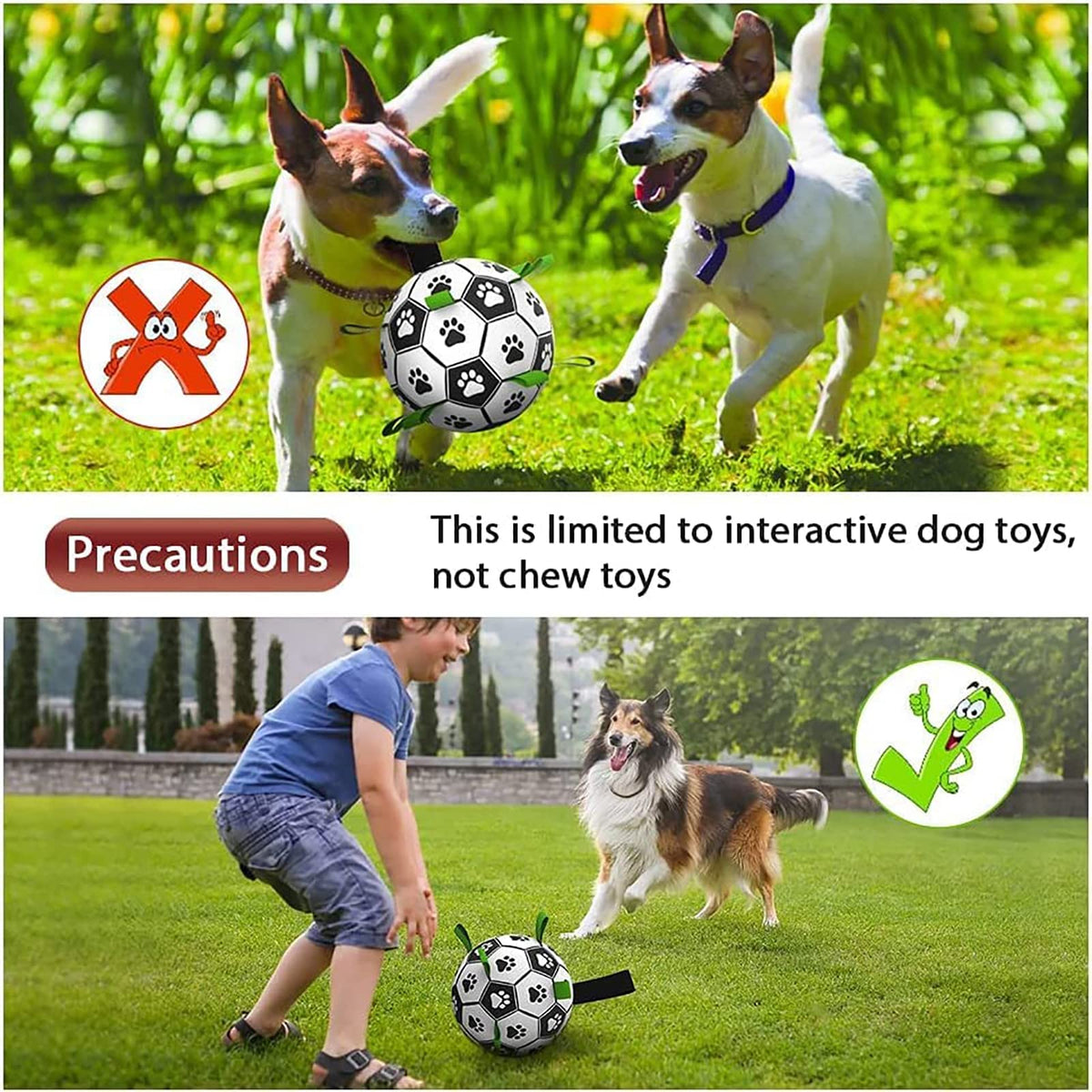 Interactive Dog Football Toy - Pawlunexa