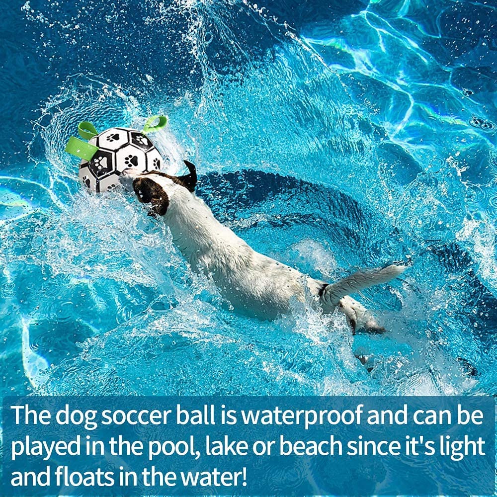 Interactive Dog Football Toy - Pawlunexa