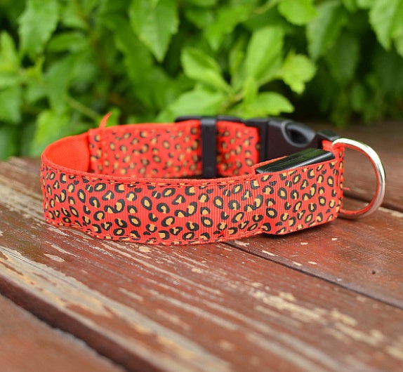 LED dog collar safety - Pawlunexa