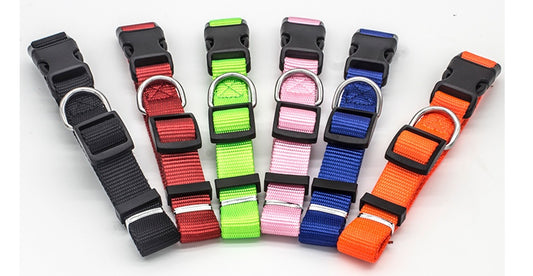 comfortable nylon pet collar - Pawlunexa