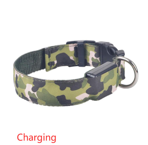 luminous dog collar - Pawlunexa