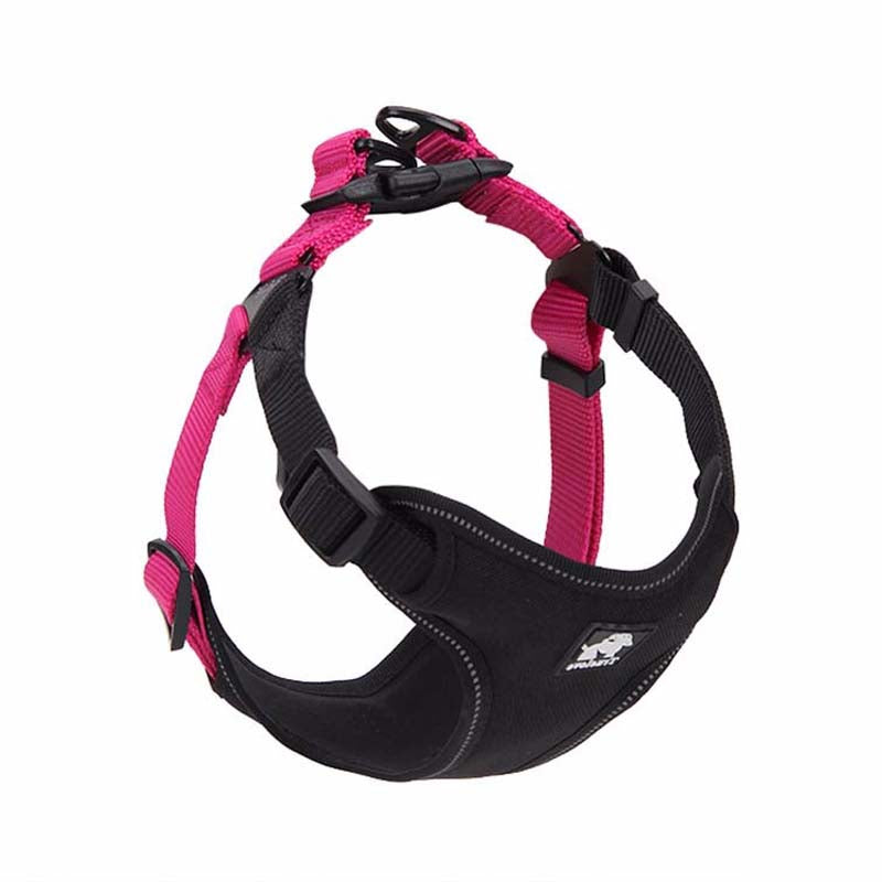comfortable dog leash collar - Pawlunexa