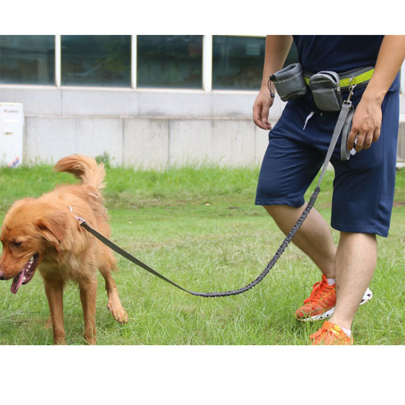 Adjustable Hands Free Dog Leash - Pawlunexa